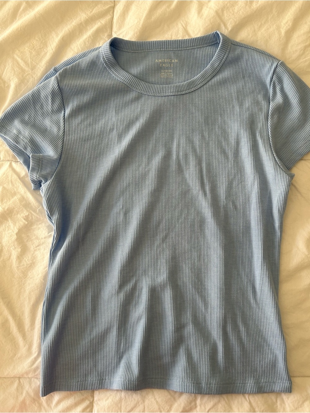 American Eagle Outfitters Light Blue Ribbed Crew Tee